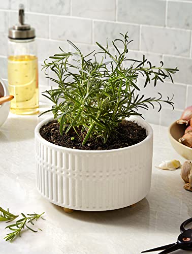 BEMAY Succulent Pots, 6.5+8 inch Ceramic Plant Pots with Drainage Hole, Decorative Flower Pots, Pack of 2, Crude White