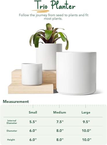 BEMAY Ceramic Plant Pots, 10+8+6 inch Indoor Planters with Drainage Hole and Plug for Home Office Planters, Pack of 3 Modern Flower Pots, White