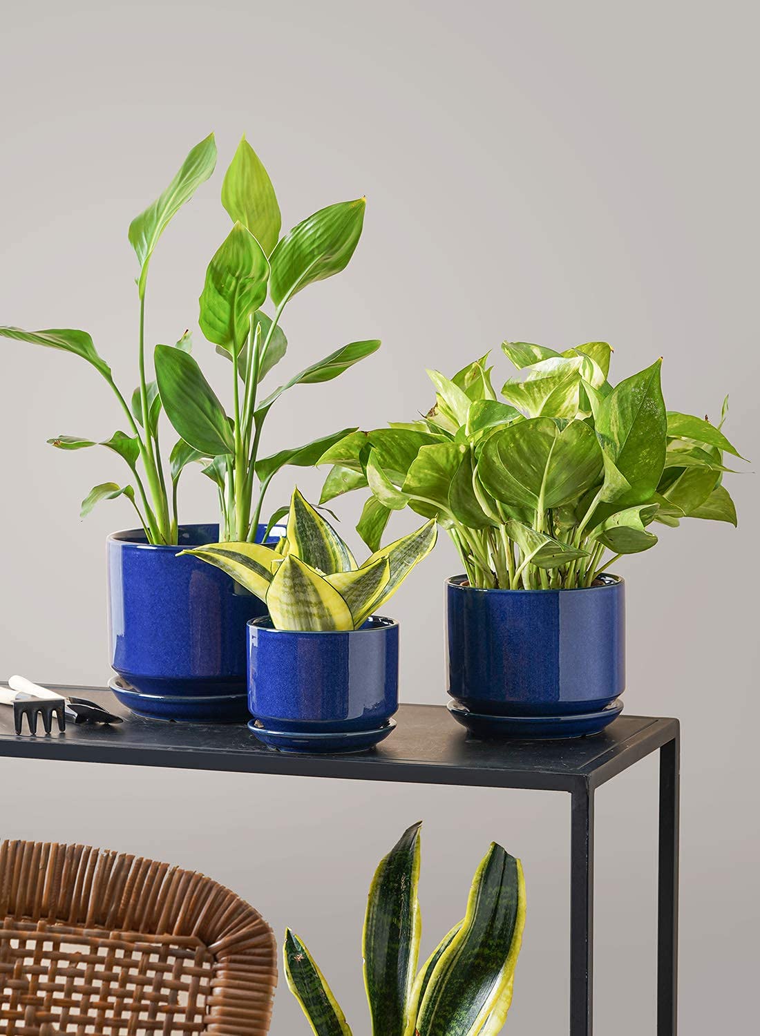 BEMAY Ceramic Plant Pots, 4.3"+5.3"+6.8" Flower Pots with Drainage Hole & Saucer, Pack of Three Planter, Sapphire Blue