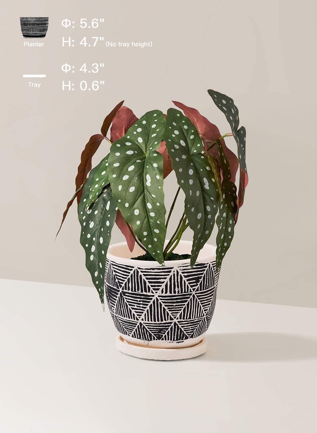 Set of 2 Plant Pots for Indoor Plants, 5.5 Inch Boho Indoor Planters, Succulent Pots with Drainage Holes & Saucers, Black Cement Flower Pots for Home & Office