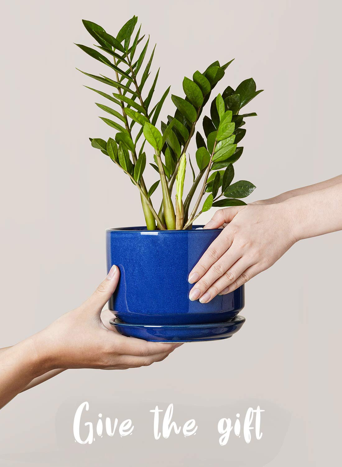 BEMAY Ceramic Plant Pots, 4.3"+5.3"+6.8" Flower Pots with Drainage Hole & Saucer, Pack of Three Planter, Sapphire Blue
