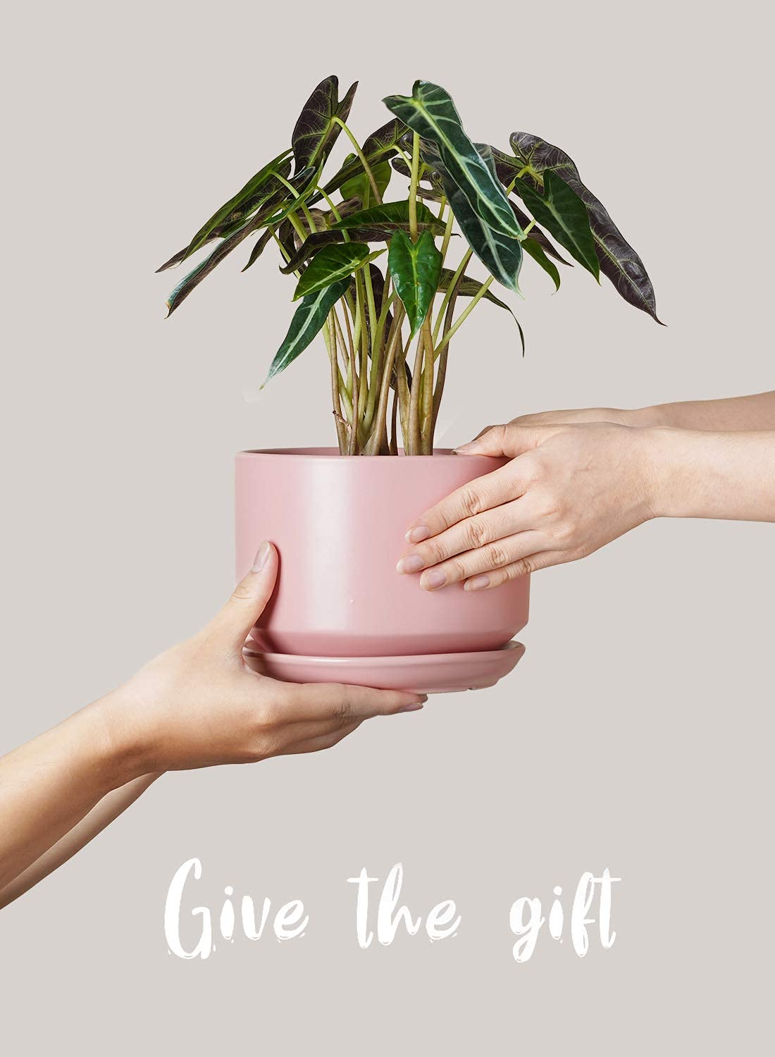 BEMAY Ceramic Planters, Set of 3 (4.3", 5.3", 6.8") Pink Flower Pots with Drainage Hole and Saucer Plant Pots for Home and Office Decor