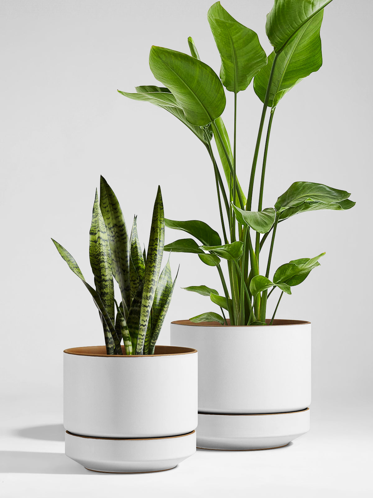 BEMAY 12" Ceramic Plant Pot with Drainage Hole & Saucer, Large Indoor Planter, Two-Tone Modern Flower Pot for Living Room & Entryway,Alpine White & Ochre Pot for Plant